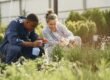 Digital Marketing for Gardeners | Birmingham Marketing Company
