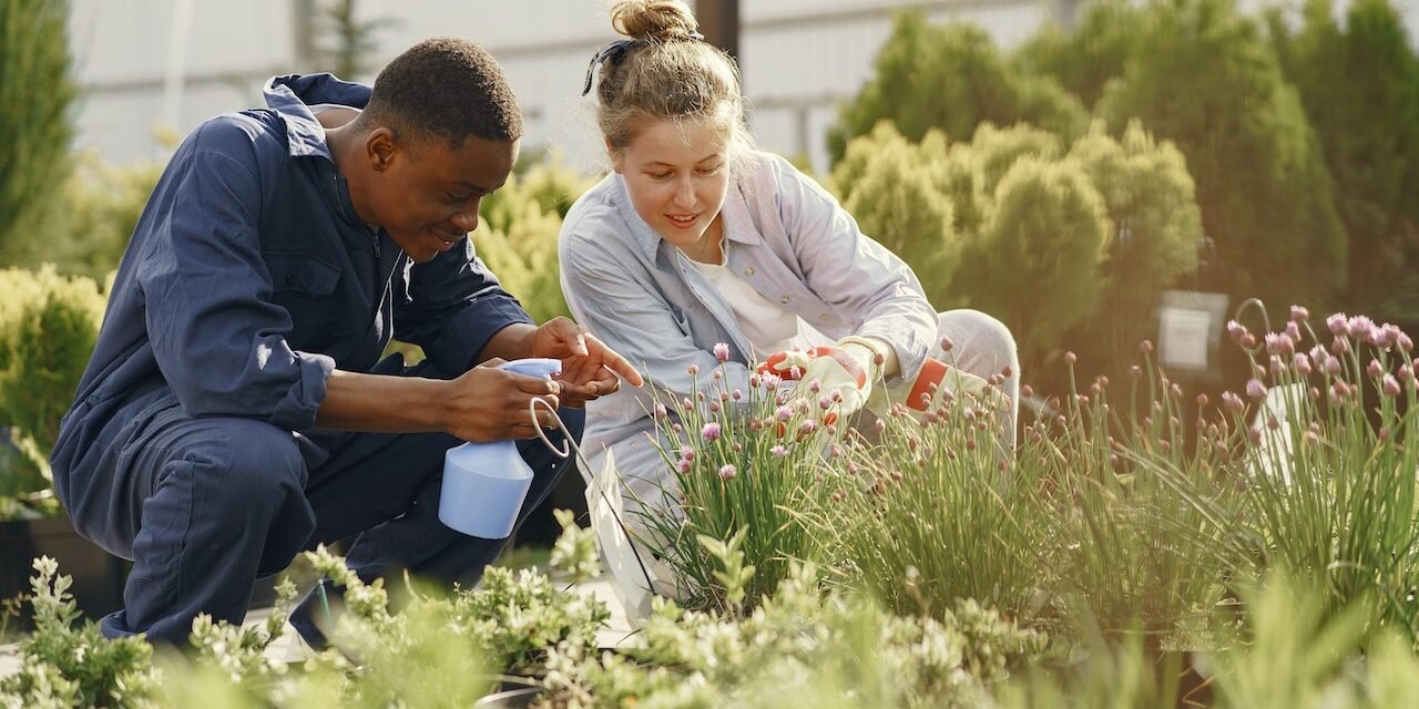pexelsDigital Marketing for Gardeners | Birmingham Marketing Company-gustavo-fring-4920333 (1) Digital Marketing for Gardeners | Birmingham Marketing Company