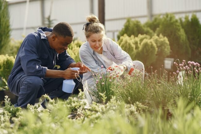 pexelsDigital Marketing for Gardeners | Birmingham Marketing Company-gustavo-fring-4920333 (1) Digital Marketing for Gardeners | Birmingham Marketing Company